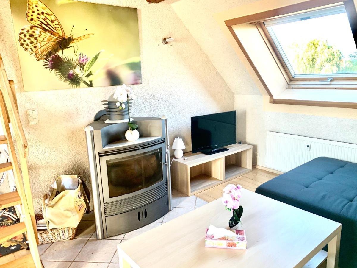 #World Ferienwohnung Schkeuditz Exterior foto